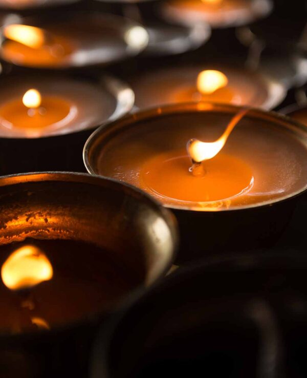 shutterstock_528130300